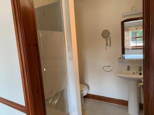 een badkamer met een douche, een toilet en een wastafel bij Willow Lakes in Ashby cum Fenby