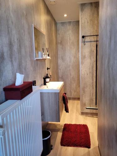 a bathroom with a sink and a shower with a red rug at B&B Diepzicht in Dokkum