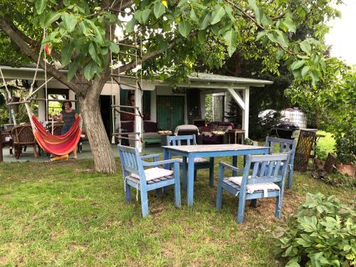 a blue table and chairs under a tree at Bohemian Eco Lodge at lake Balaton in Kisapáti