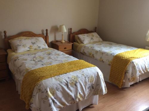 a bedroom with two beds and a table with a lamp at Ardaobhainn in Letterkenny