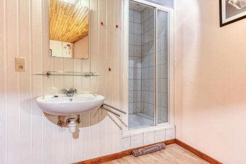 a bathroom with a sink and a shower at Château Ferme de Laval in Sainte-Ode