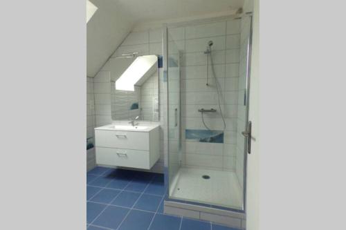 GuerlédanにあるLE HERON - LES VERGERS DE GUERLEDANのガラスのシャワーと洗面台を備えたバスルーム