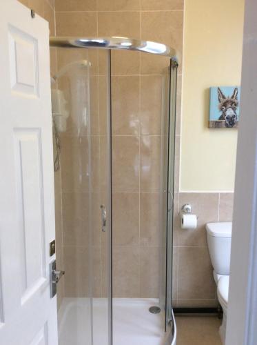 a shower with a glass door in a bathroom at One bedroom flat on a quiet road in Colwyn Bay