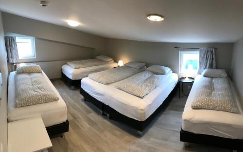 Cette chambre comprend trois lits et deux fenêtres. dans l'établissement Blue Viking Guesthouse, à Keflavík