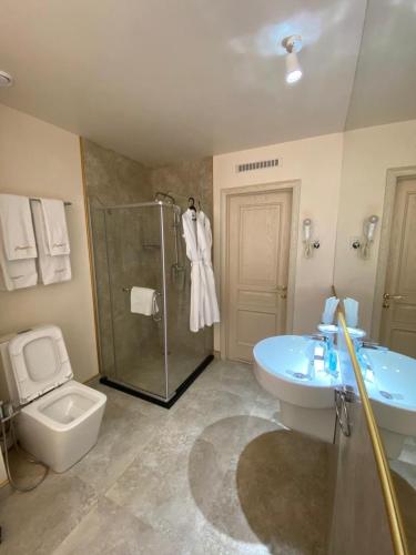 a bathroom with a shower and a toilet and a sink at Barhat Hotel & SPA in Taraz