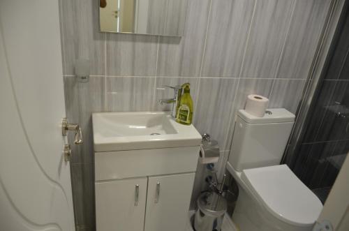 La salle de bains est pourvue d'un lavabo, de toilettes et d'un miroir. dans l'établissement Rodion Hotel, à Istanbul