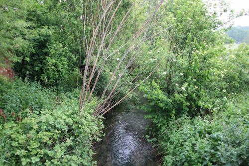 a stream of water in a field with trees at Sauna et jacuzzi - Les mille et une nuits - 2km mer in Le Bourg-Dun