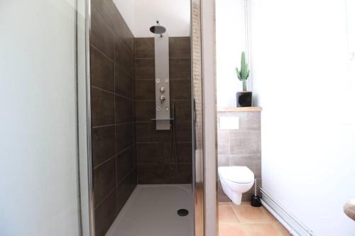 a bathroom with a shower with a toilet at Sauna et jacuzzi - Les mille et une nuits - 2km mer in Le Bourg-Dun