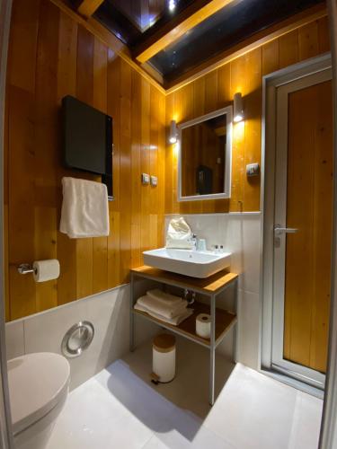 a bathroom with a sink and a toilet at LA RÉSERVE DE L'AUBE - Hébergements insolites Luxe et Design in Villenauxe-la-Grande