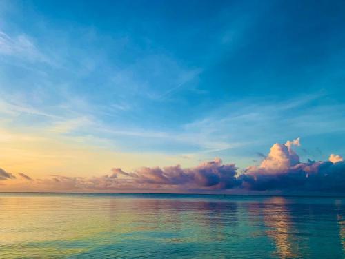 Gallery image of A Rocha Eco-Lodge & Conservation Centre in Watamu