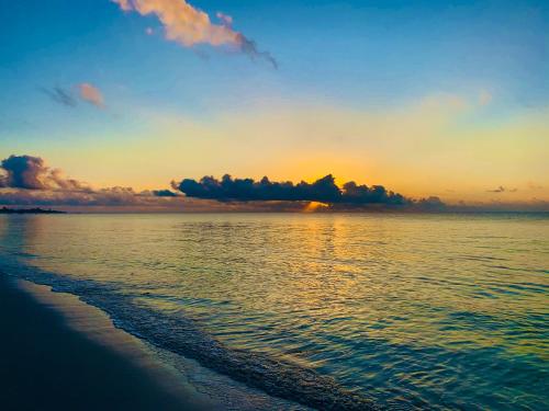 Gallery image of A Rocha Eco-Lodge & Conservation Centre in Watamu
