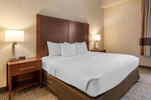 a large bed in a hotel room with two lamps at Comfort Suites Downtown Carlisle in Carlisle