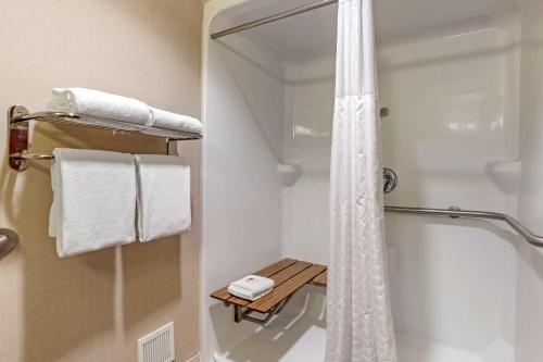 a bathroom with a shower with a shower curtain at Comfort Suites Downtown Carlisle in Carlisle