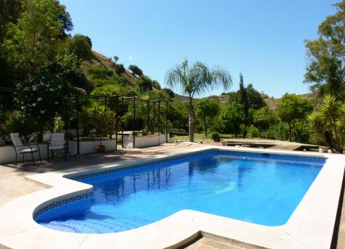 una piscina de agua azul en un patio en Vegan Guesthouse Finca Pereila en Coín