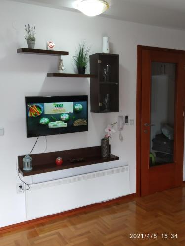 Televizorius ir (arba) pramogų centras apgyvendinimo įstaigoje Apartman ZENIT