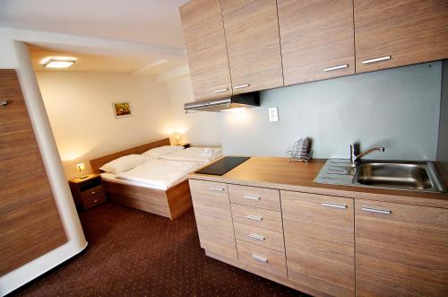 a kitchen with a bed and a sink in a room at Hotel Lučivná in Lučivná