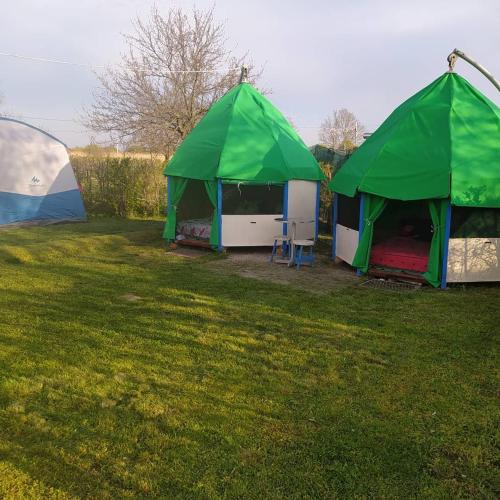 Aed väljaspool majutusasutust Camping Casuta Mihaela