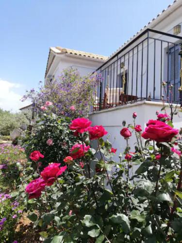 Φωτογραφία από το άλμπουμ του OliveTree House στο Βαθύ