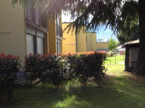 a hedge in front of a building with a tree at Camping Villaggio Paradiso in Domaso
