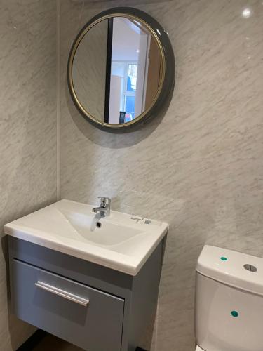 a bathroom with a sink and a mirror and a toilet at Holborn Apartment in Thurso