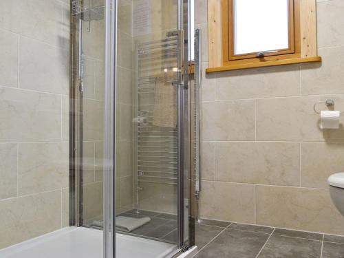 a shower with a glass door in a bathroom at Viaduct Fishery Holiday Lodges in Somerton
