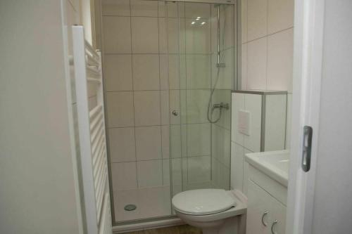 een badkamer met een douche, een toilet en een wastafel bij 6-person Veluwe Villa - copy - in Voorthuizen
