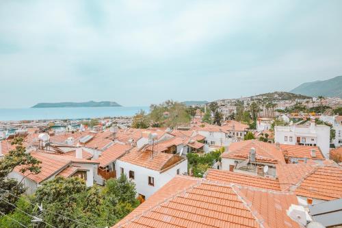 Kuytu Terrace Bed and Breakfast – Photos 3