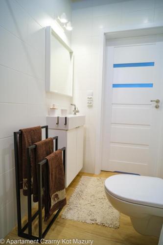 a bathroom with a toilet and a sink and a mirror at Czarny Kot Mazury Dom Całoroczny in Małkinie