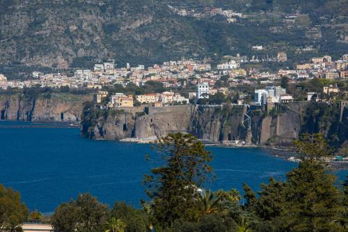 a city on top of a mountain with a body of water at Atlantic Palace Hotel in Sorrento