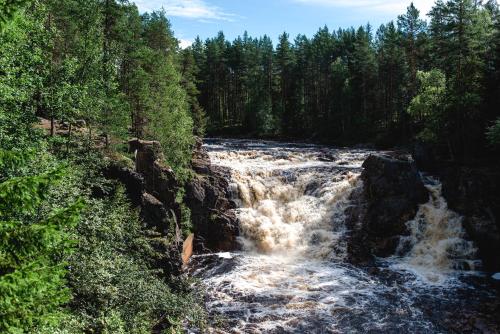 a waterfall on a river in a forest at Alevi Camping in Stöllet