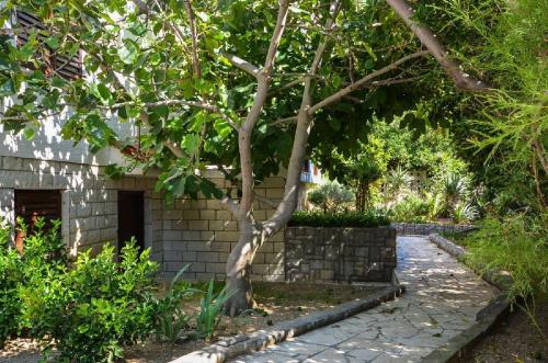 a tree in a garden next to a brick wall at Apartment Krekovic in Pag