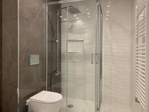 een badkamer met een toilet en een glazen douche bij Apartamentos Quebra-Mar 2 in Nazaré