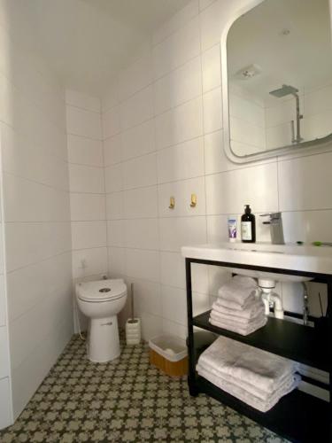 a bathroom with a toilet and a sink and a mirror at lägenhet på innergården in Alingsås