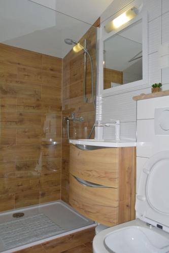 a bathroom with a shower and a toilet and a sink at Apartments Marija in Ivan Dolac