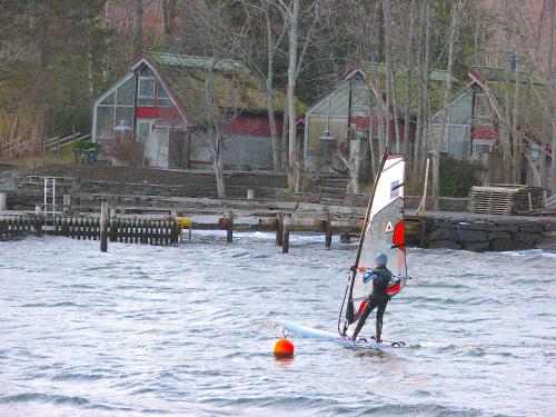 a man on a surfboard with a sail in the water at Hardanger Feriesenter Nesvika in Norheimsund