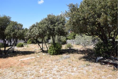Apartment Petar 2 – Foto 2