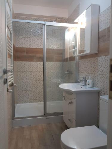 Koupelna v ubytování Aparthomes Fundeni
