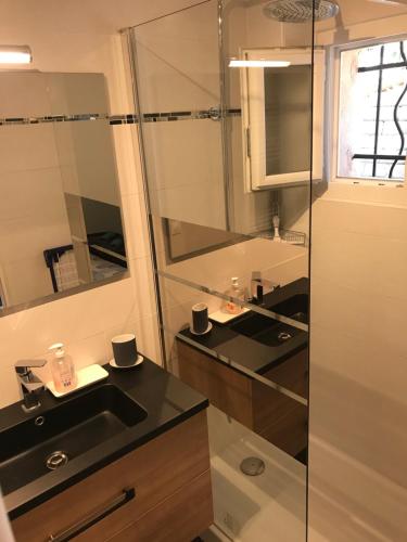 コゴランにあるStudio climatisé piscine parking - Prix du Voyageur 2023 et 2024 ! Merciの洗面台とガラスのシャワーを備えたバスルーム