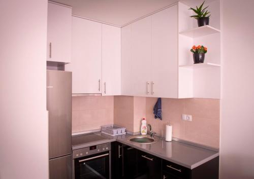 Кухня або міні-кухня у Apartment Helena