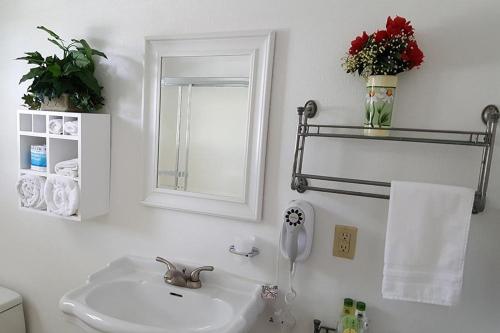 La salle de bains blanche est pourvue d'un lavabo et d'un miroir. dans l'établissement Maple Leaf Motel, à Shady Cove