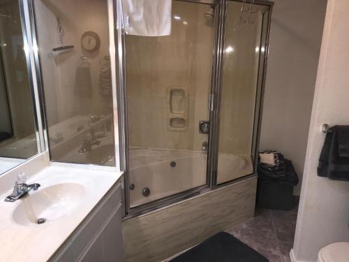 a bathroom with a shower and a sink at Lakeside Condo on Lake Taneycomo in Branson