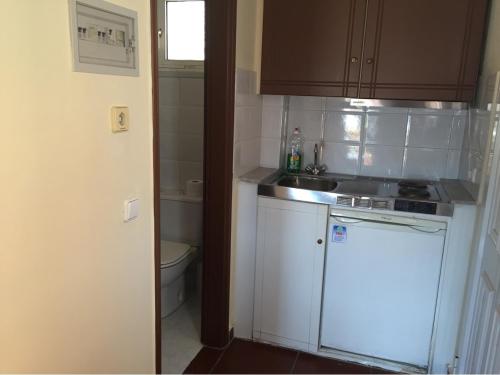 a small kitchen with a sink and a toilet at Toulipa Rooms in Agia Ermioni