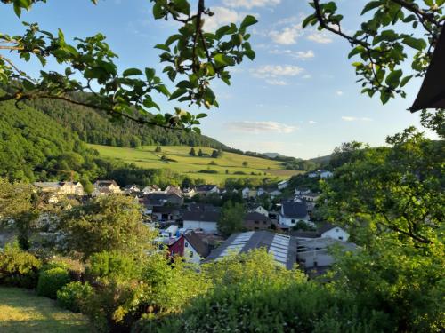 a view of a town with a hill in the background at Garni-Hotel-Schäfer in Schuld