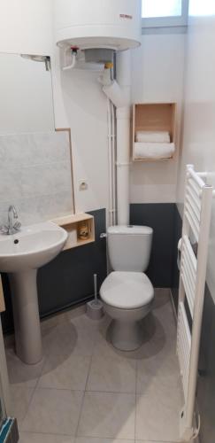Łazienka z białą toaletą i umywalką w obiekcie À 200m du Château 30 min du Circuit du Mans w mieście Le Lude