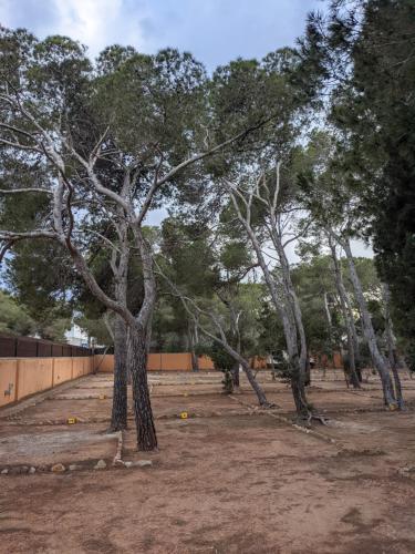 Φωτογραφία από το άλμπουμ του Camping Cala Nova στο Es Cana