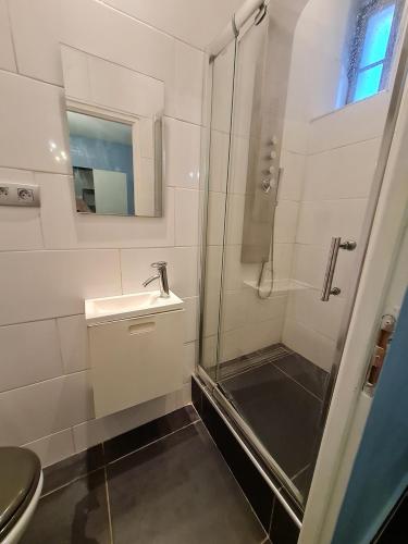 une salle de bain avec une douche, un lavabo et des toilettes dans l'établissement Intra Muros Thiers appart 8 pers 3 ch climatisé Wifi tout équipé parking proche, à Avignon