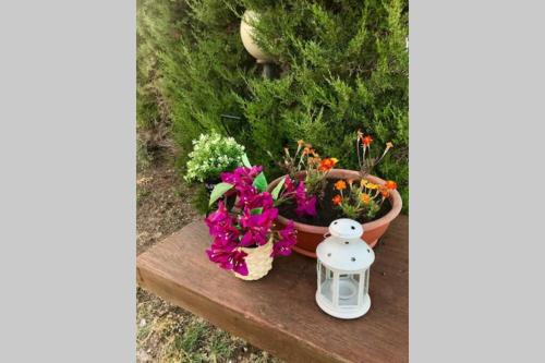 a flower pot sitting on a table with flowers at Agriturismo Il Salicchio app.Benedetta in Pian dʼAlma