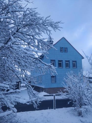a blue house with snow covered trees in front of it at Schulhaus Wettges in Birstein