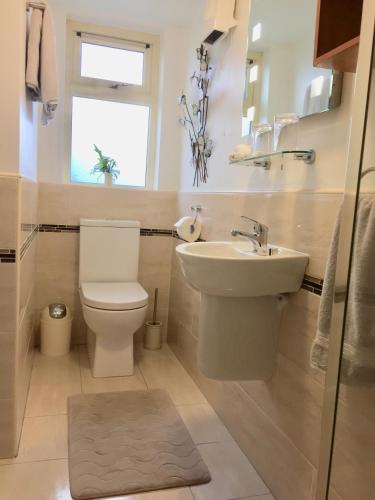 a bathroom with a toilet and a sink and a window at Laburnum B&B in Kenmare