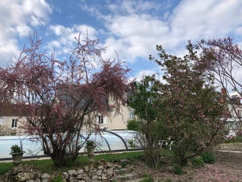 two trees with pink flowers in front of a building at Manoir le Bout du Pont in Huisseau-sur-Cosson